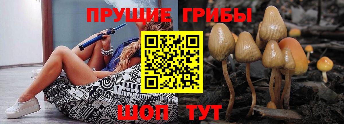 Псилоцибиновые грибы Magic Shrooms Торжок
