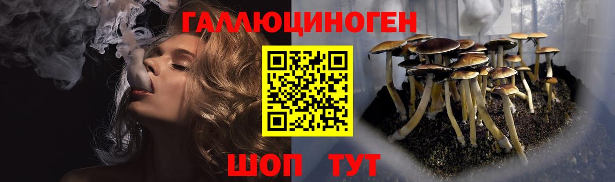 Торжок  Галлюциногенные грибы Magic Shrooms  Вход с VPN 